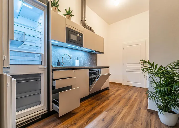 Design Apartments Luzanky