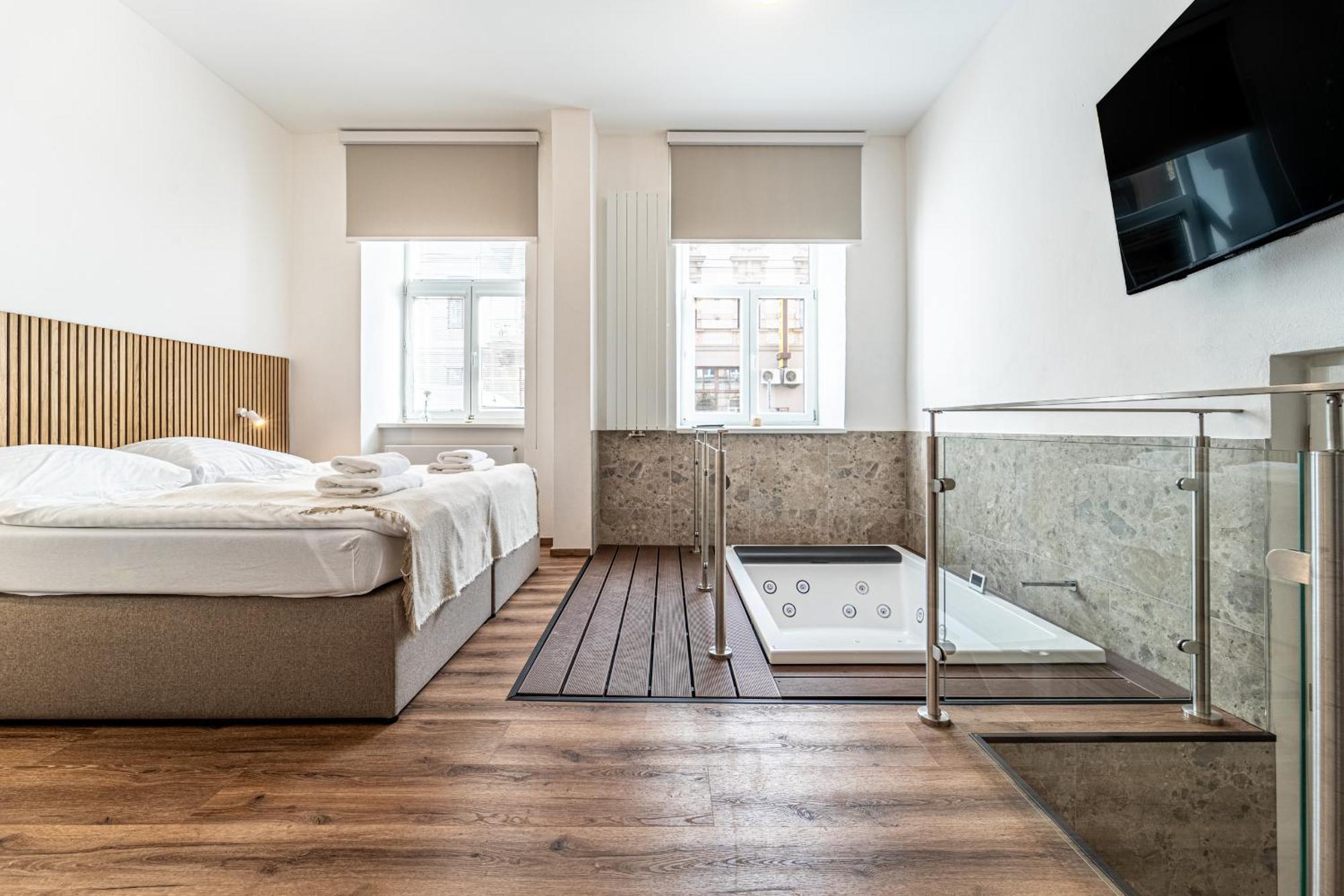 Design Luzanky Apartment