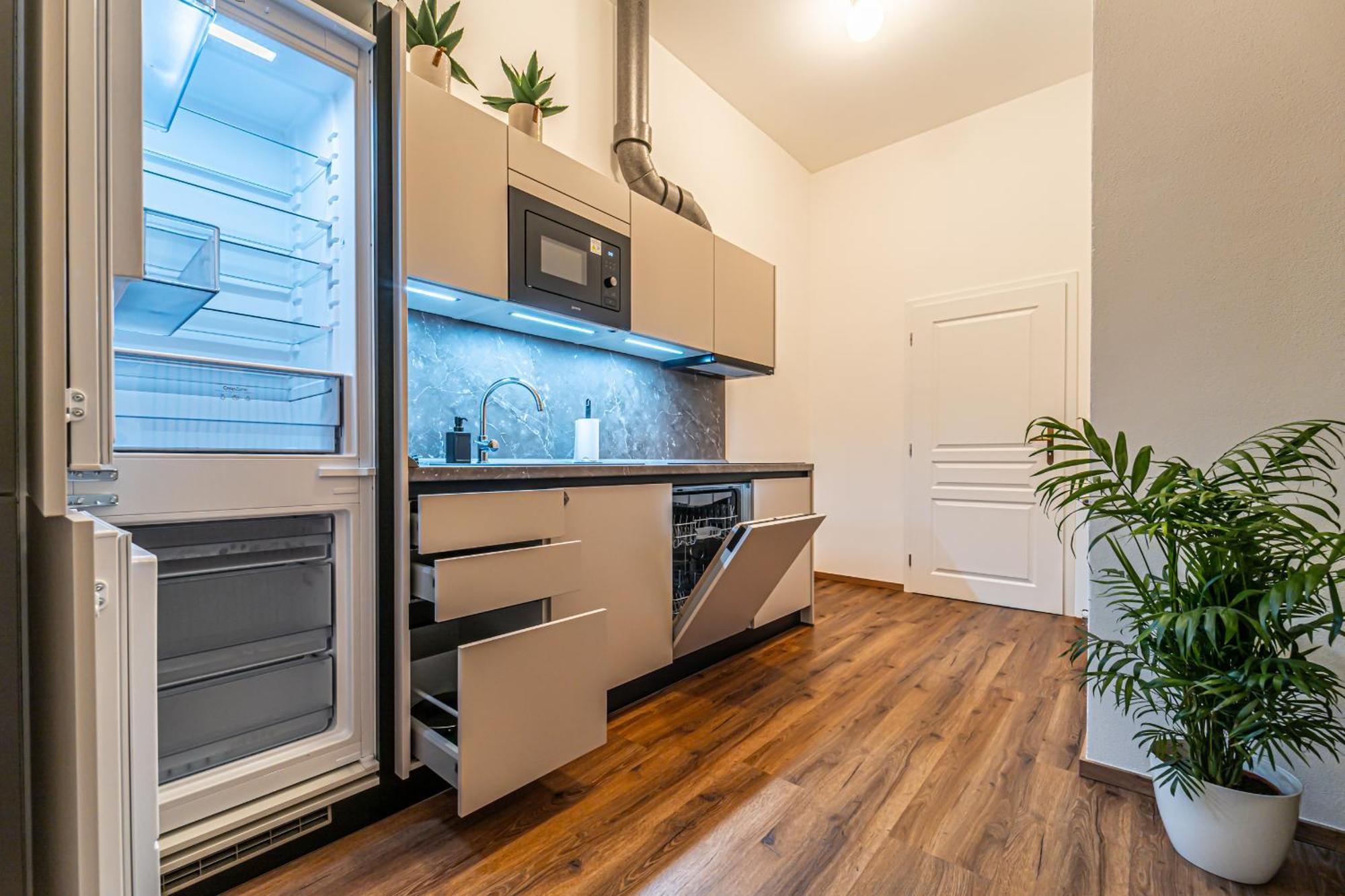 Design Luzanky Apartment