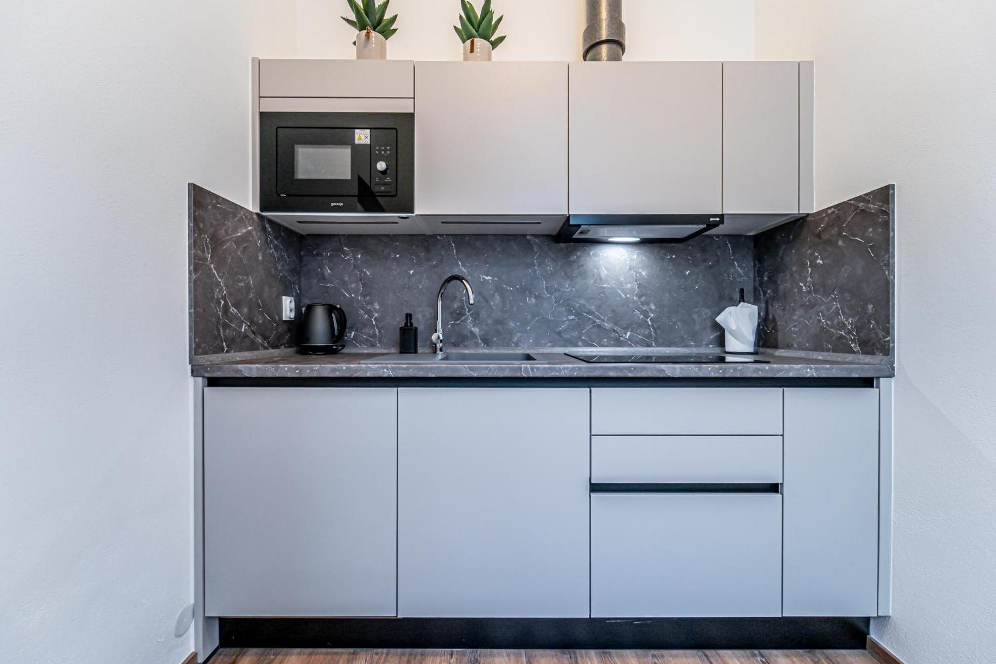 Design Luzanky Apartment Brno