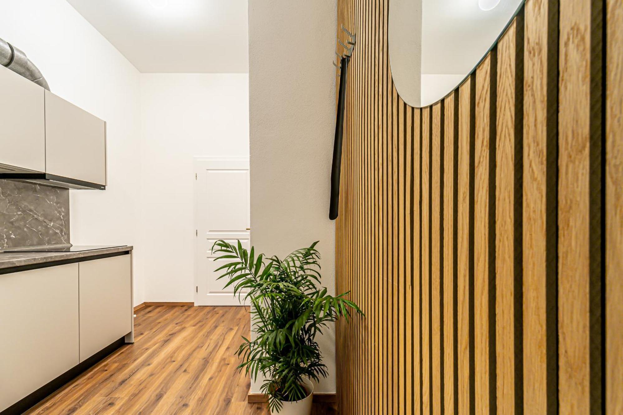 Design Luzanky Apartment *