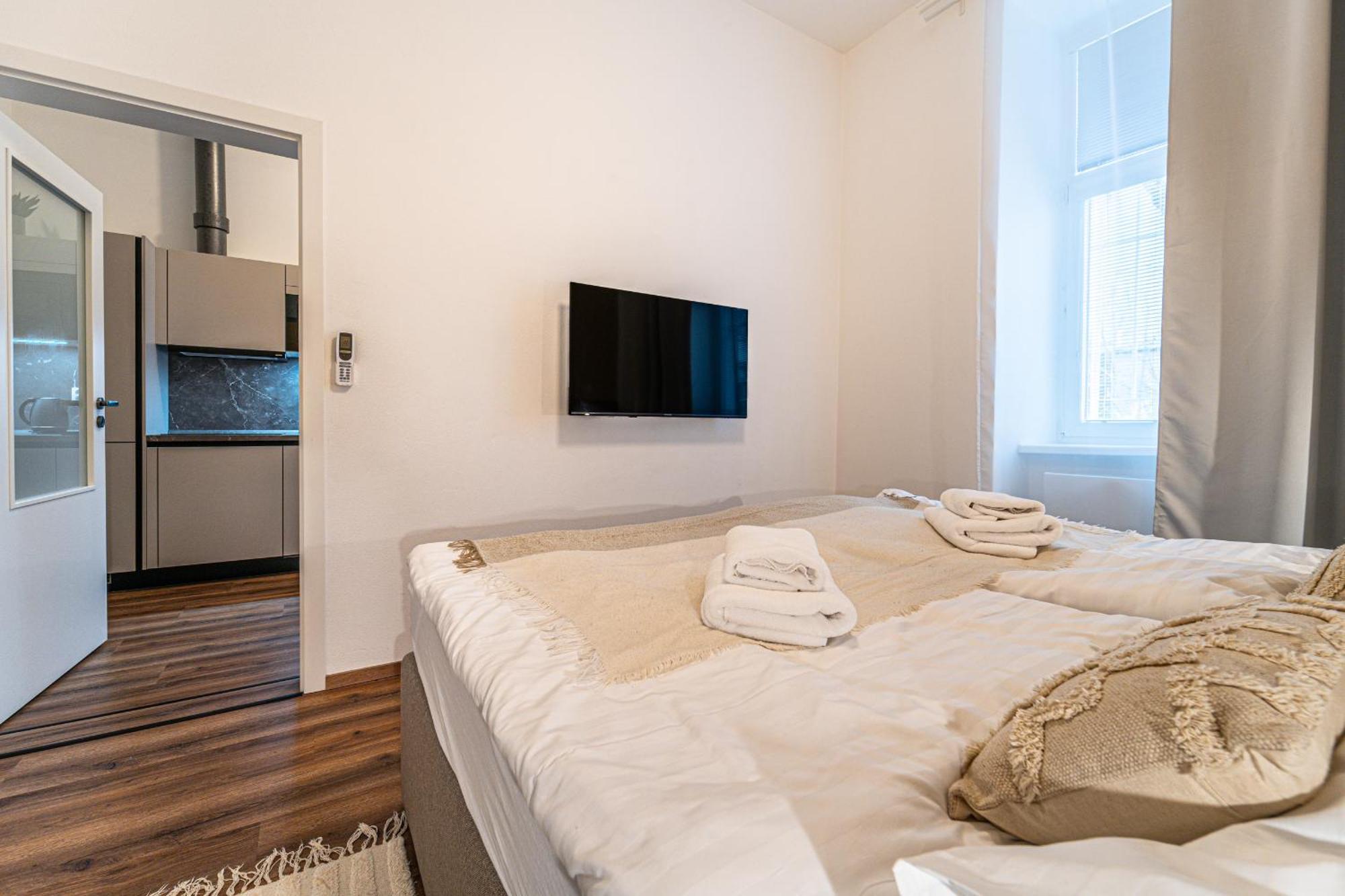 Apartment Design Luzanky