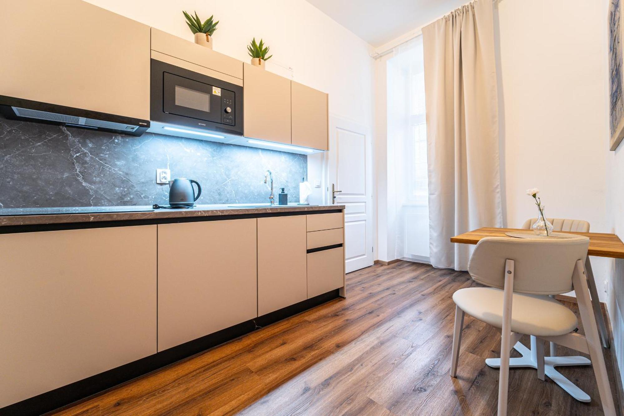 Design Luzanky Apartment