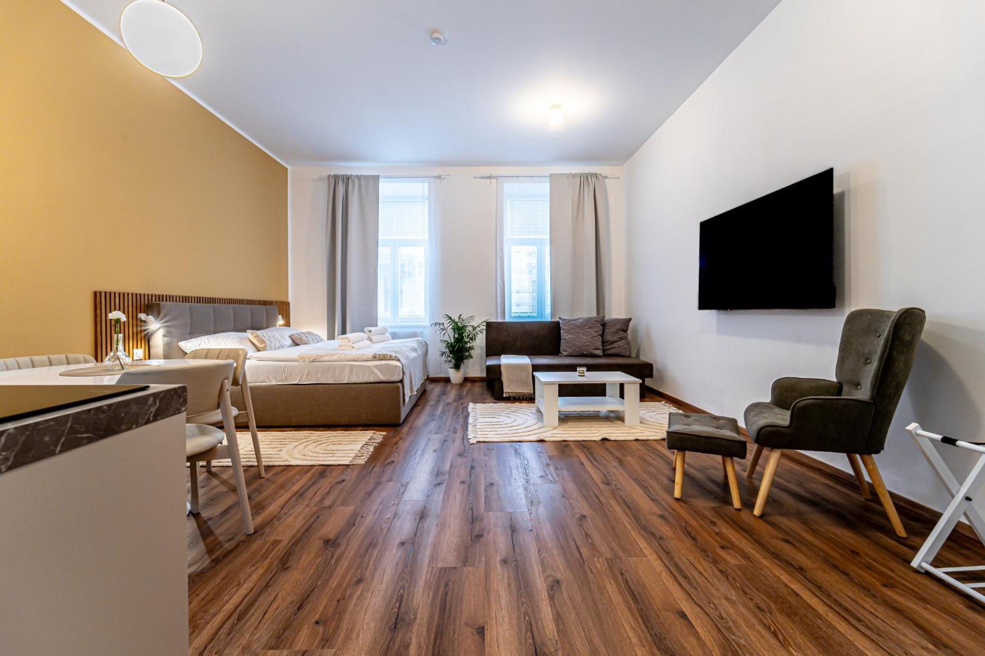 Design Luzanky Apartment