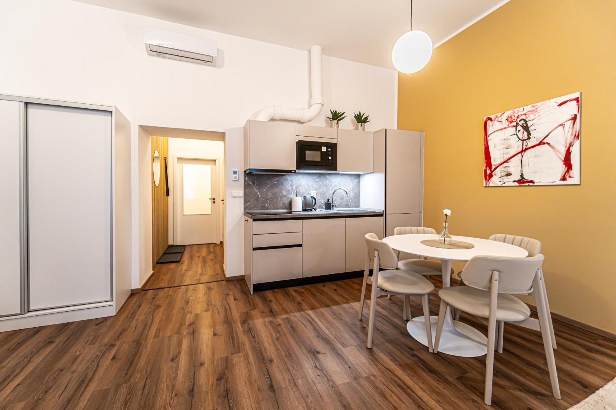 Apartment Design Luzanky *