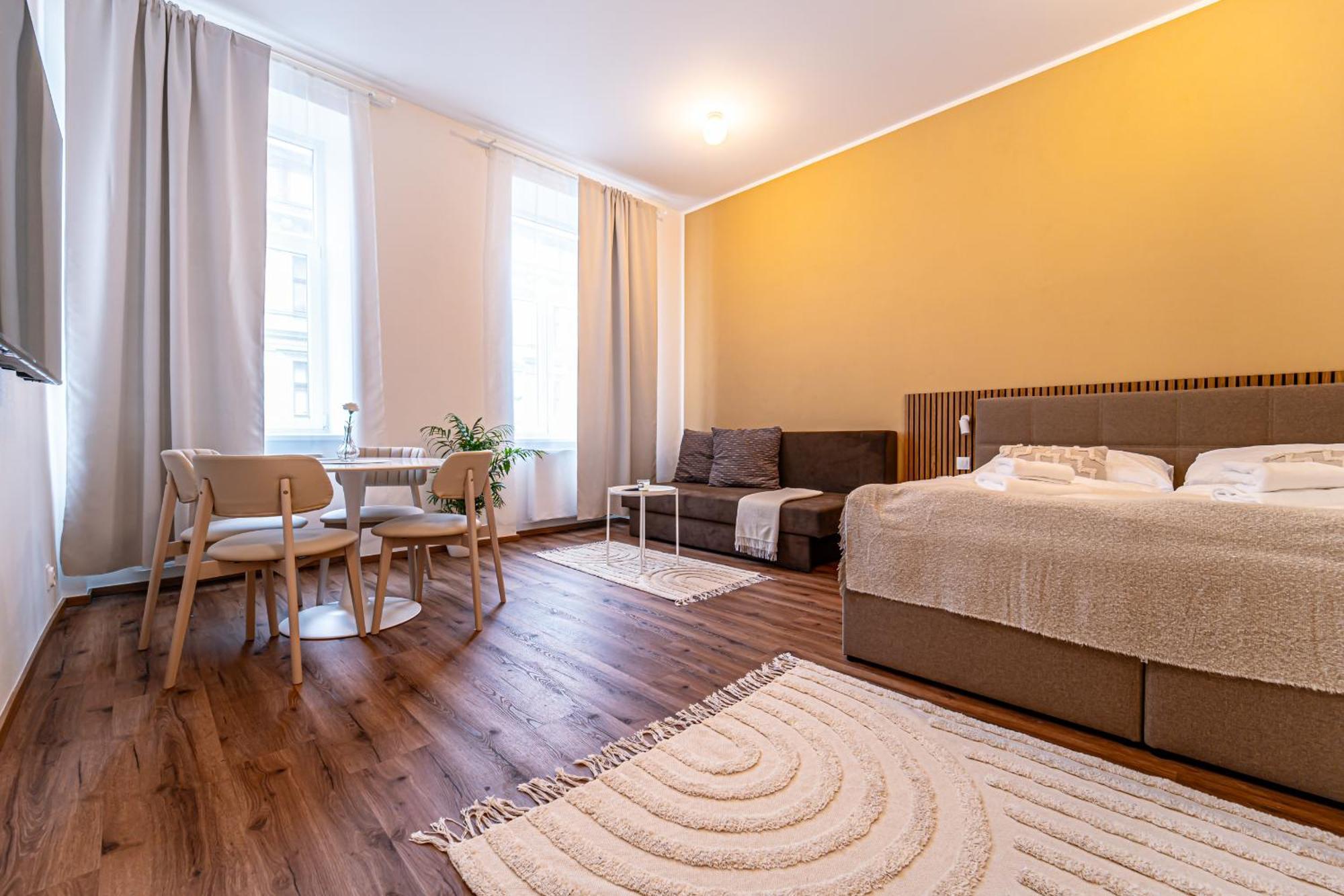 Design Luzanky Apartment