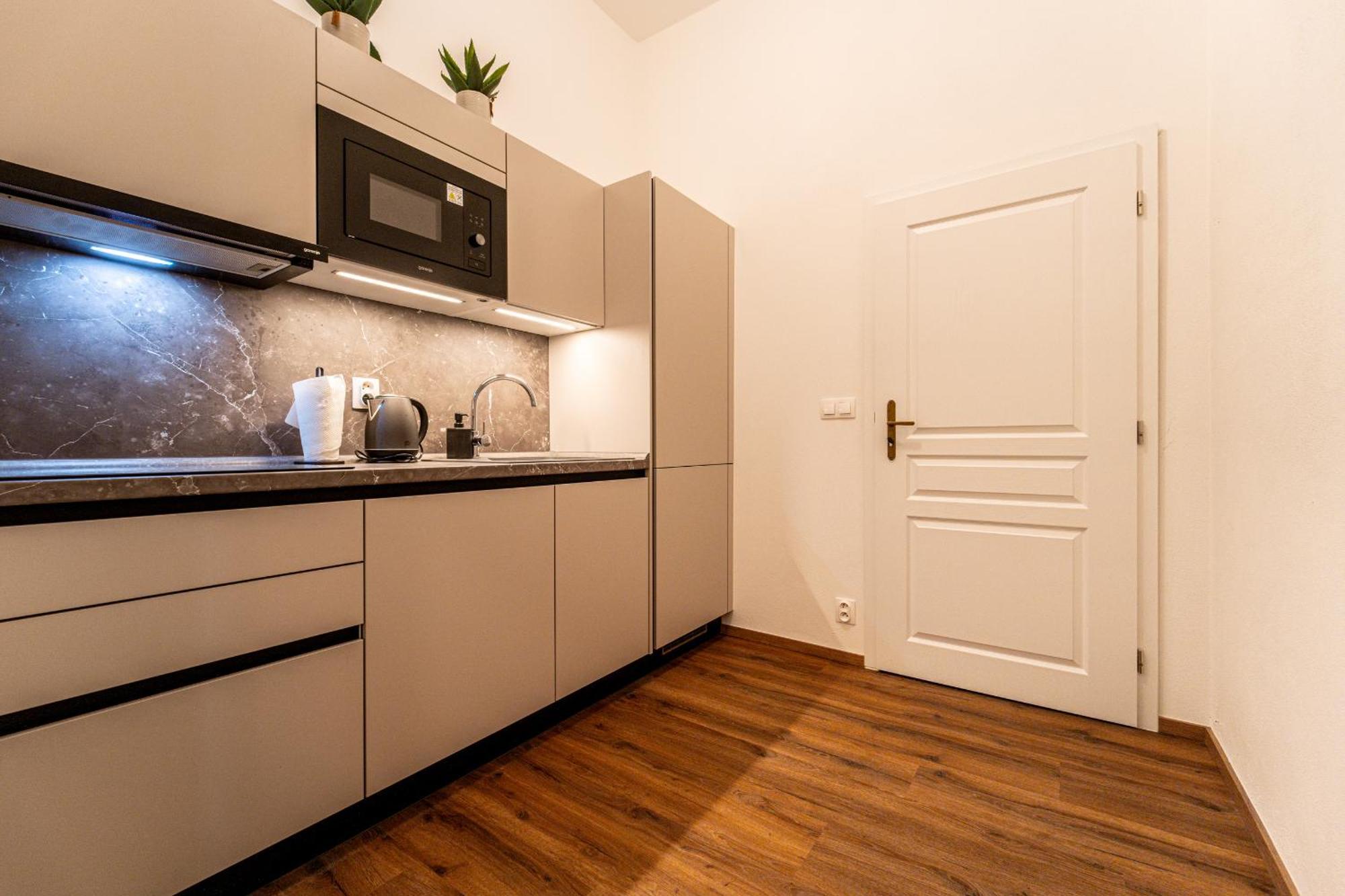 Apartment Design Luzanky *