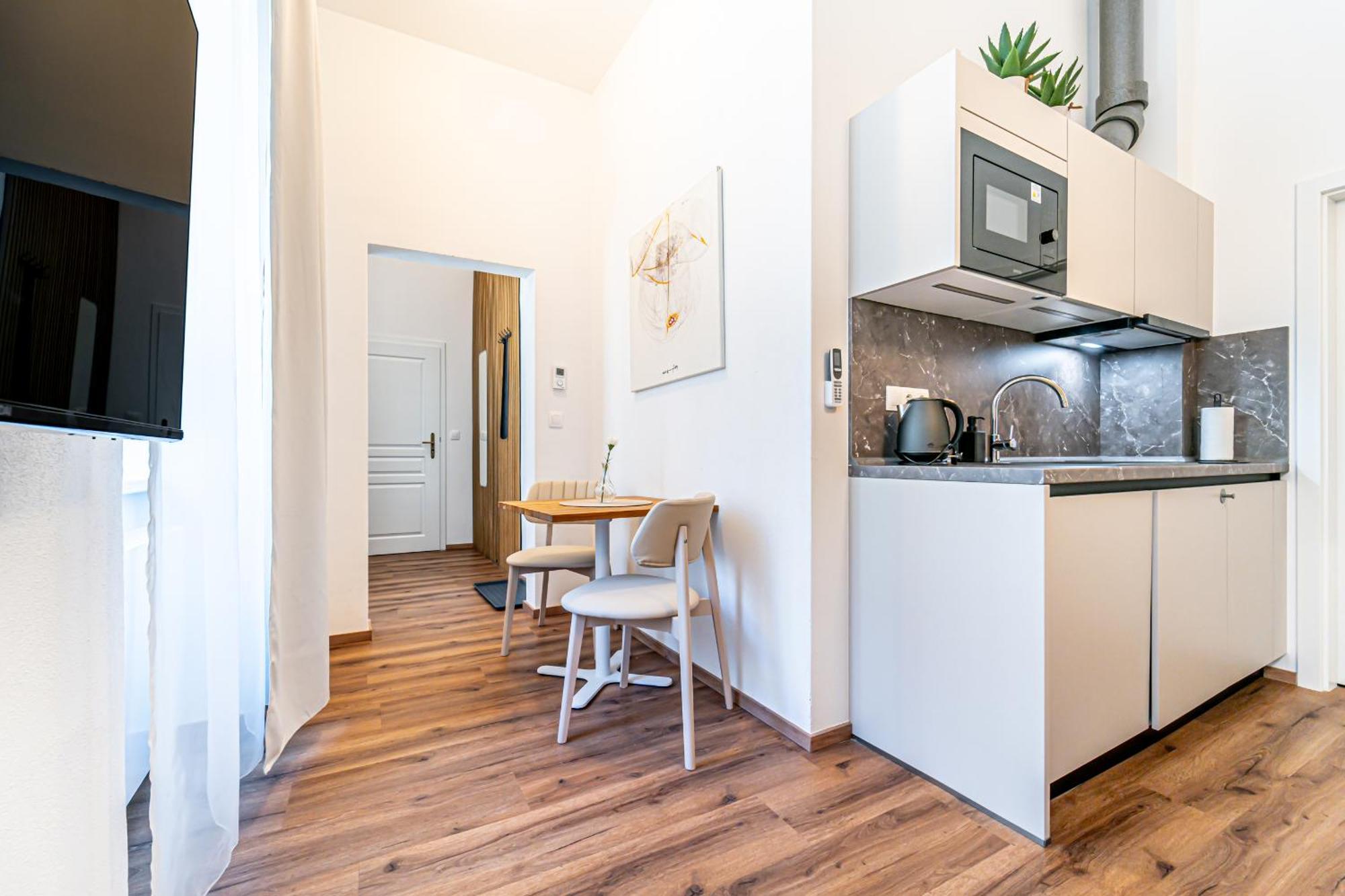 Apartment Design Luzanky *