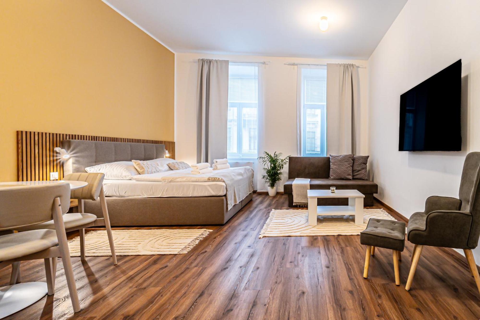 Apartment Design Luzanky *