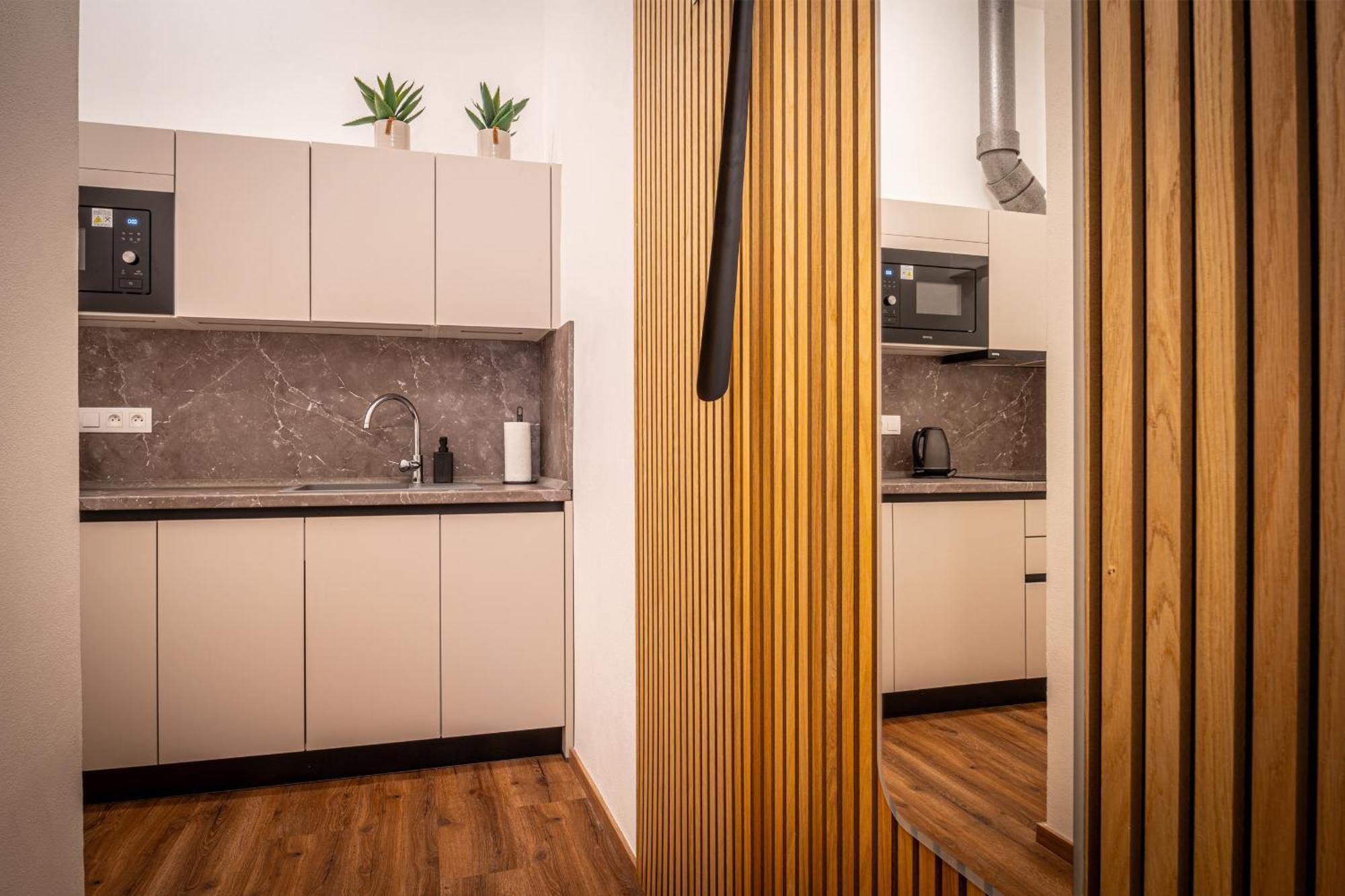 Design Luzanky Apartment