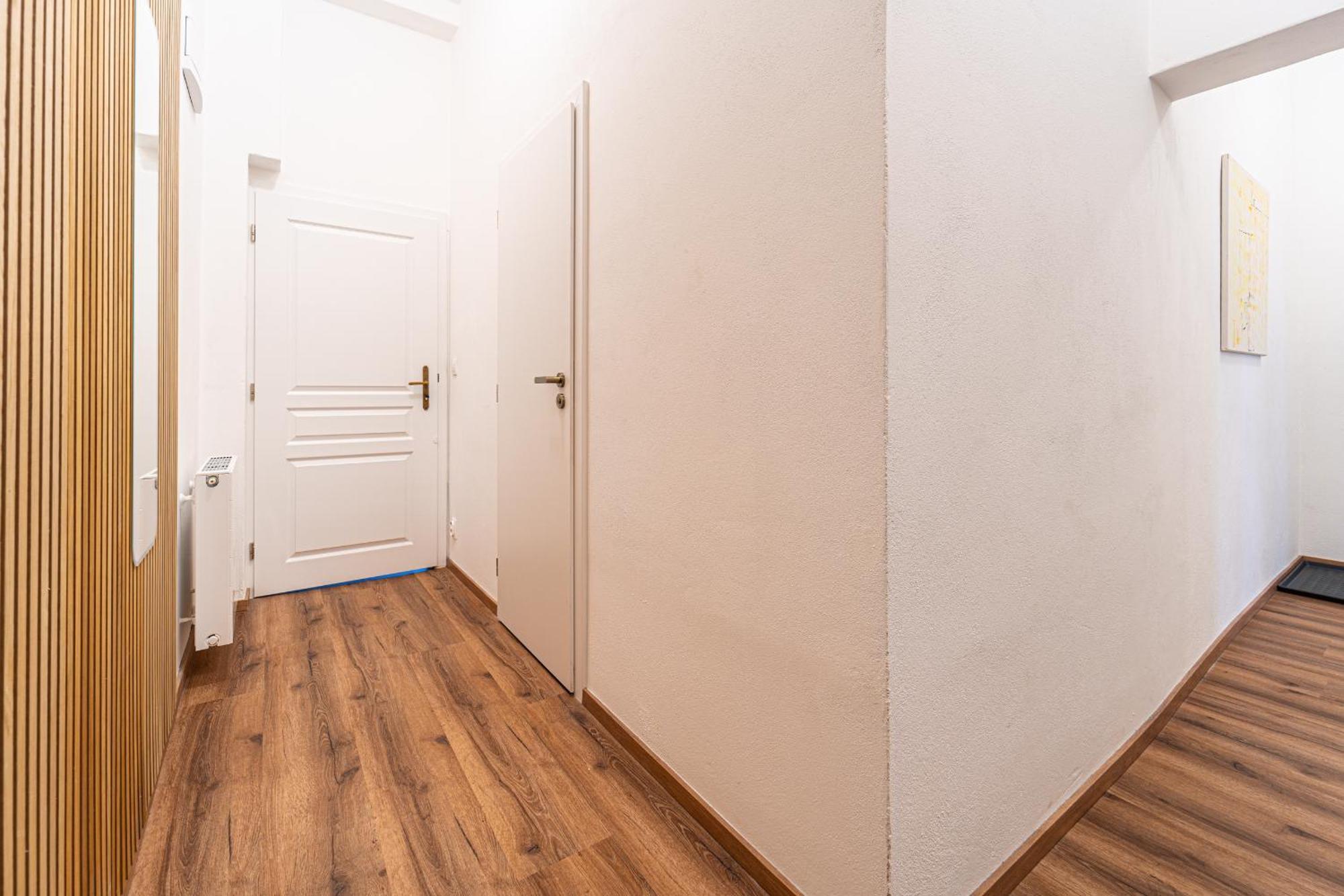 Design Luzanky Apartment