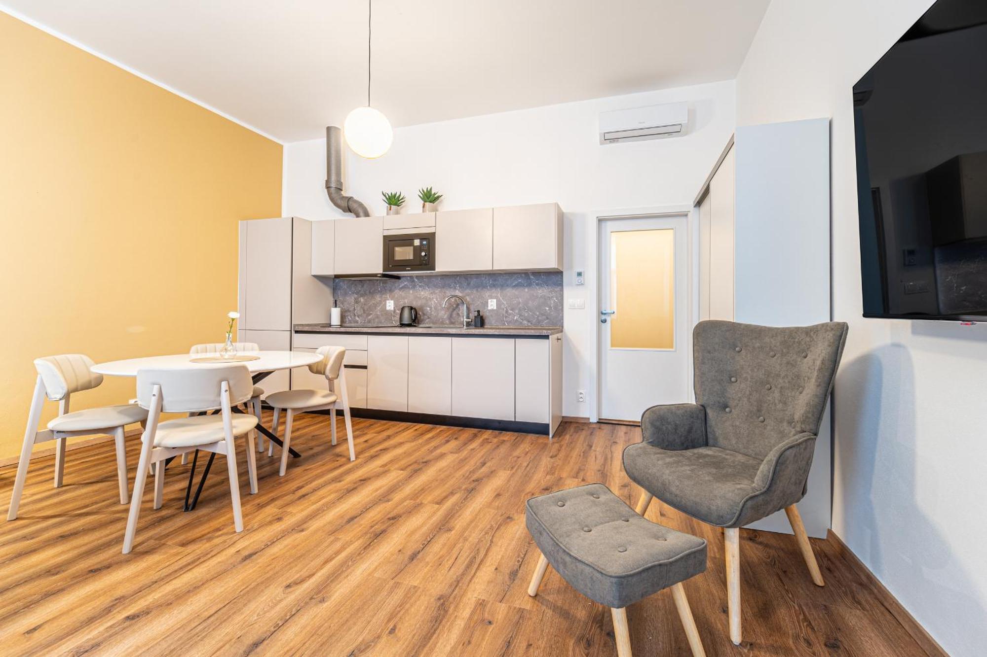 Apartment Design Luzanky *