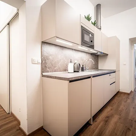 Design Apartments Luzanky Брно Экстерьер фото
