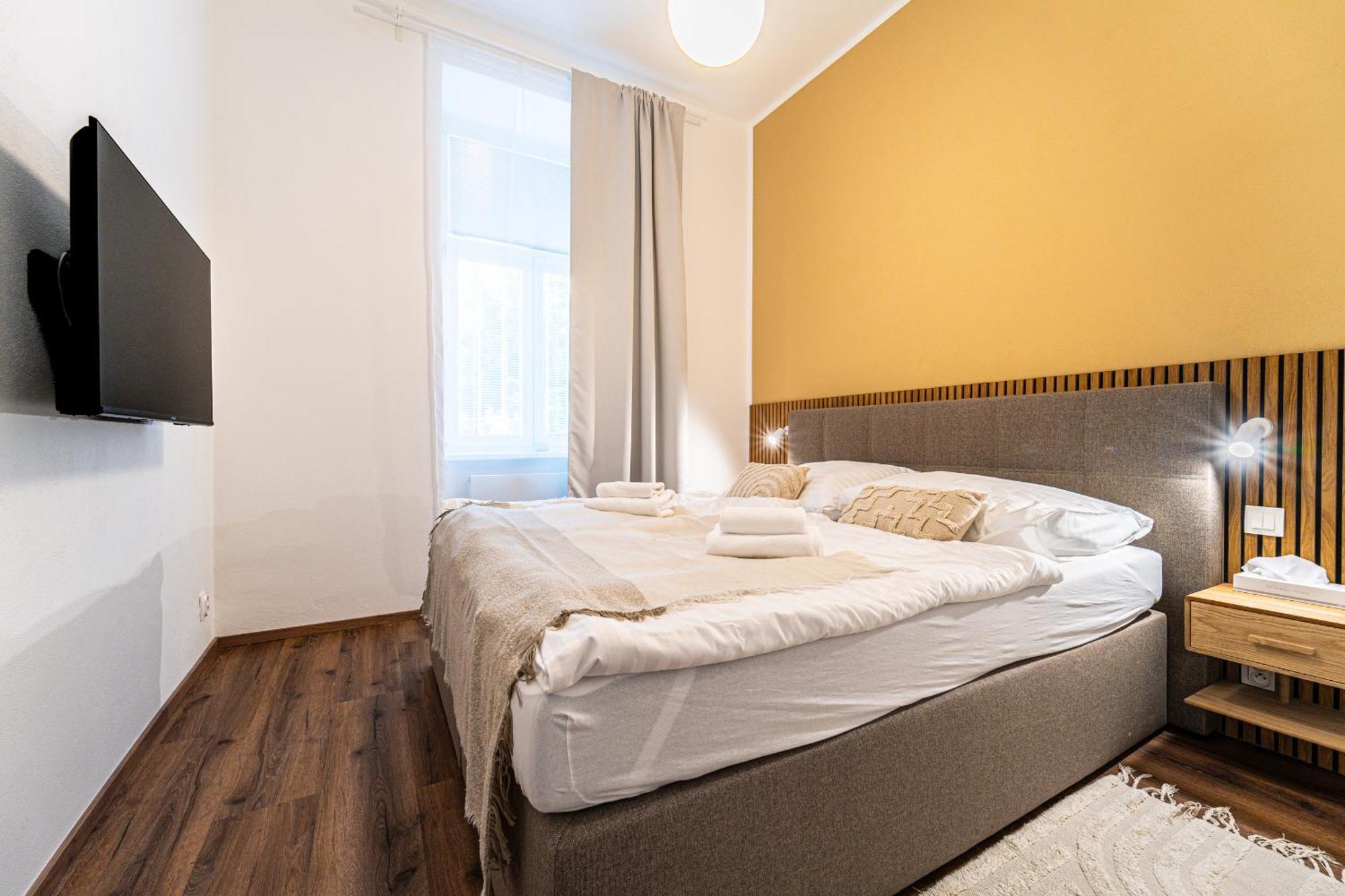 Apartment Design Luzanky